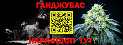 крисы Новозыбков